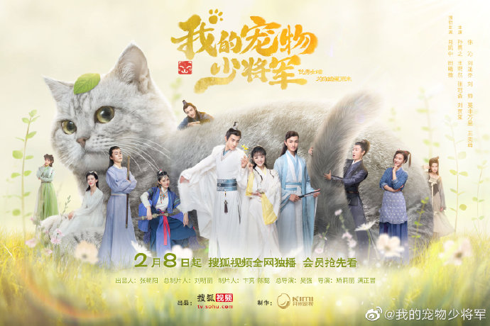 Be My Cat / My Young Pet General China Web Drama